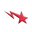 ZIMA logo